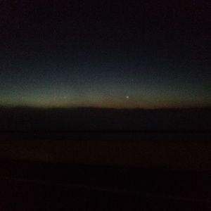 Meet your Posher, Alisha